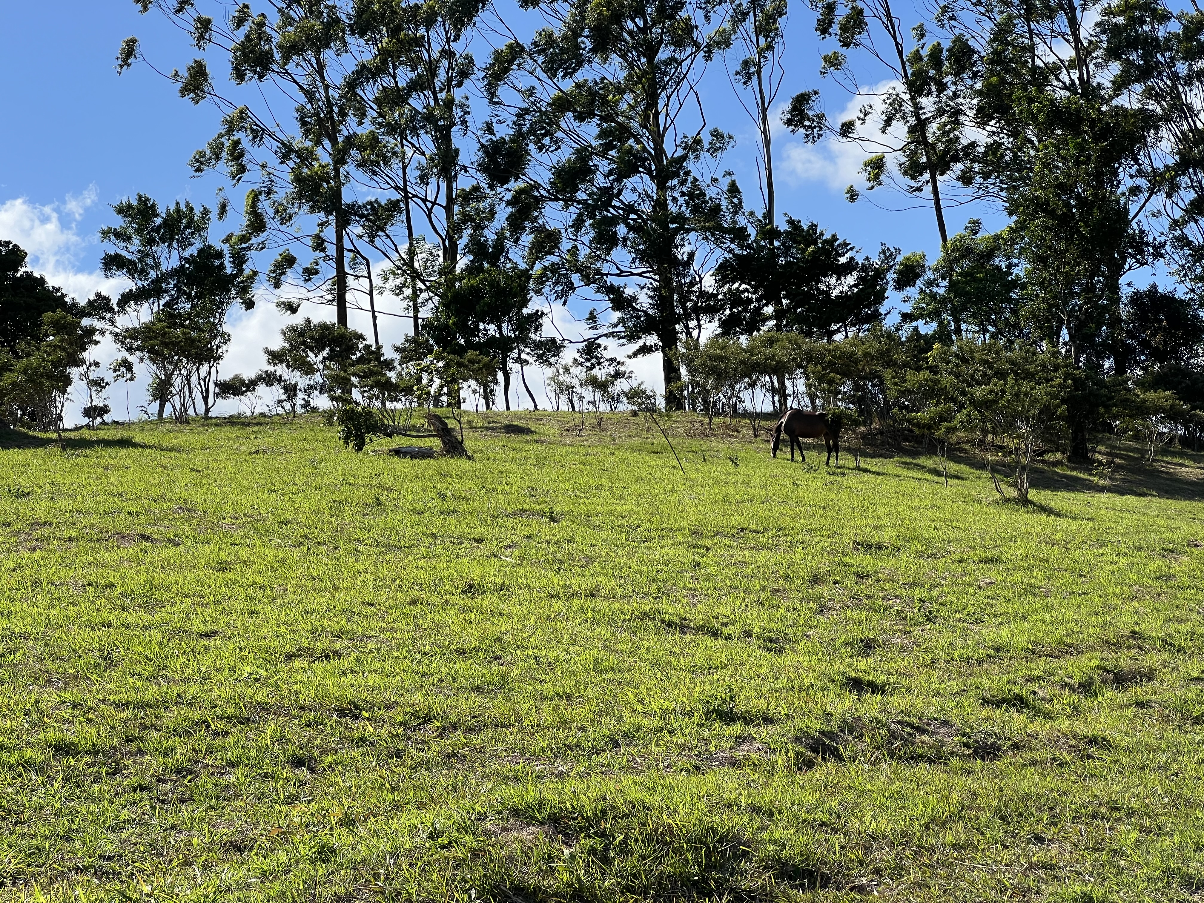 2.26 Acre Lot with Stunning Views Of Lake Arenal and Volcano in Nuevo Arenal  photo 26