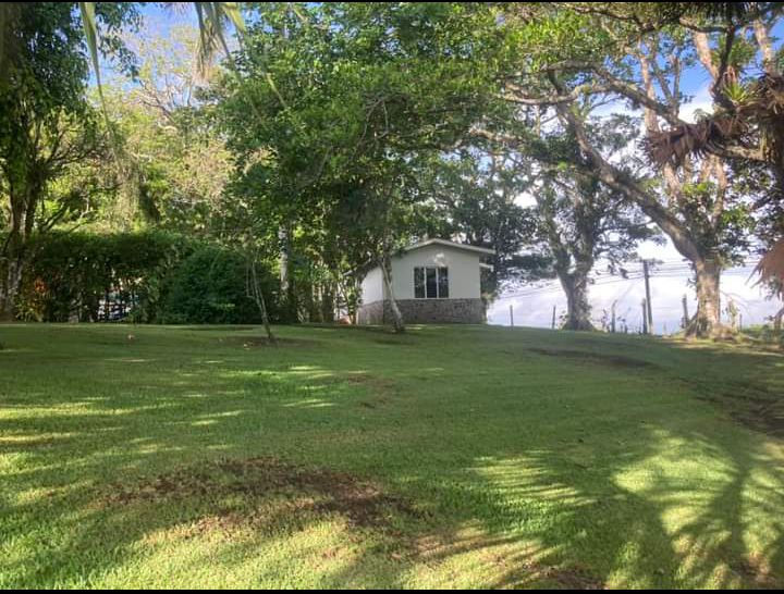 Commercial property: main house + 5 cabins + greenhouse + stable in Cinco Esquinas  photo 42