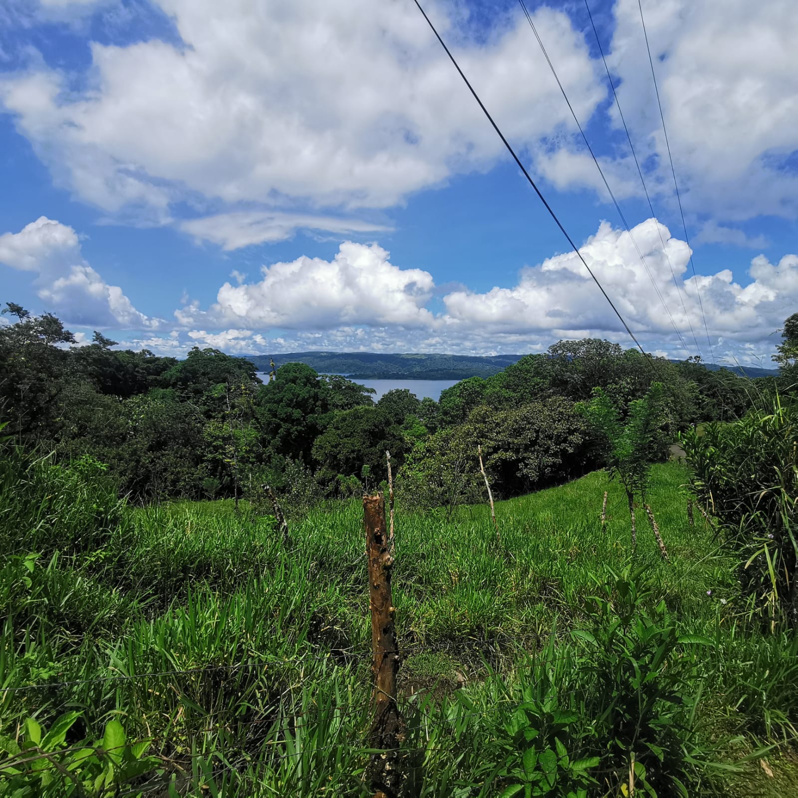 Exceptional Lake and Volcano View Property in El Castillo, San Carlos  photo 7