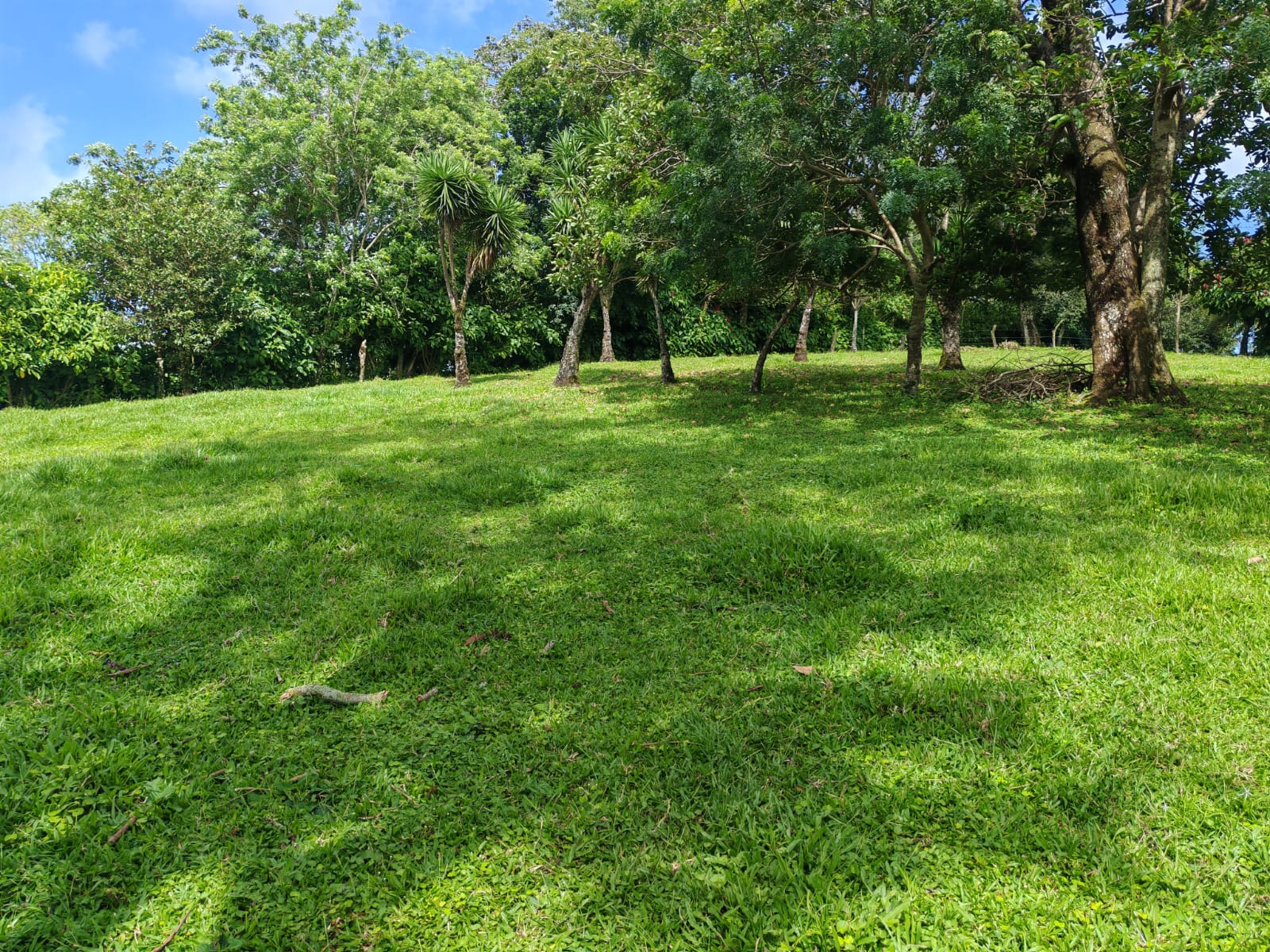 15,750 m² Lakefront Lot with Volcano Views, Fruit Trees & Direct Lake Access  photo 9