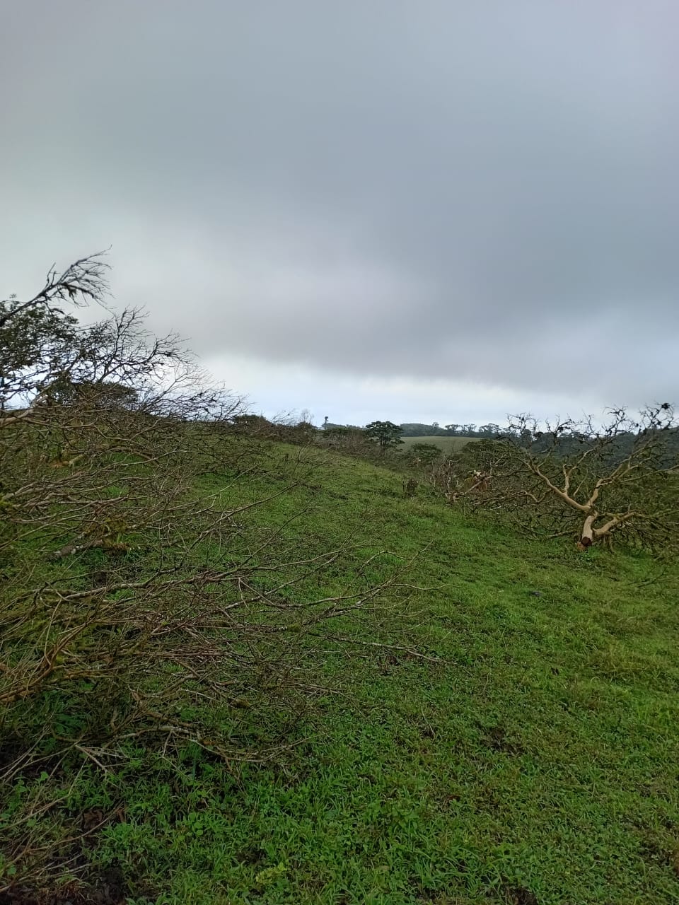 21.8 Hectare Development On Lake Cote, Guatuso, Alajuela photo 7