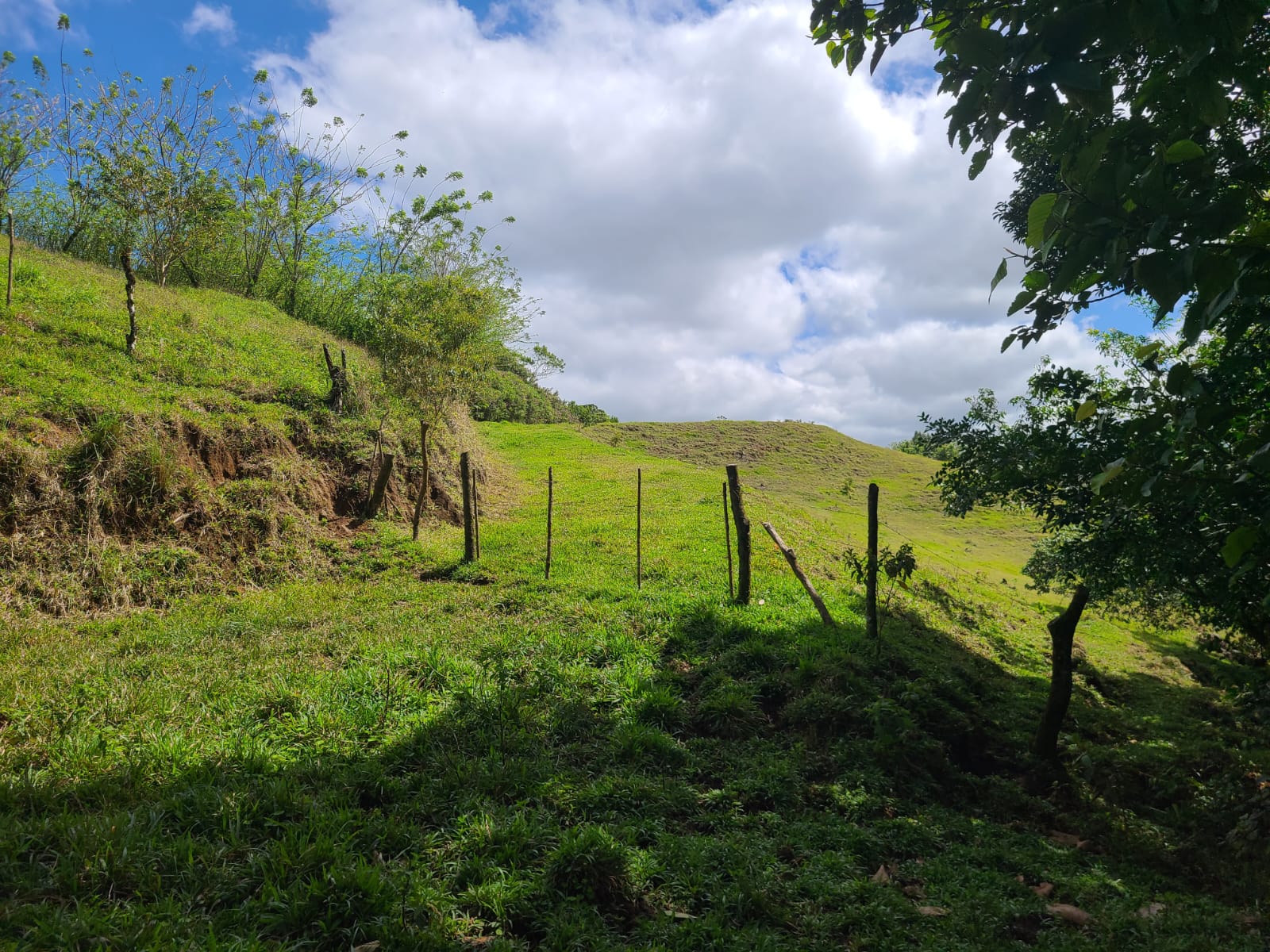 35,000 Sqm Property with Spectacular Lake Arenal View and Ravine photo 14