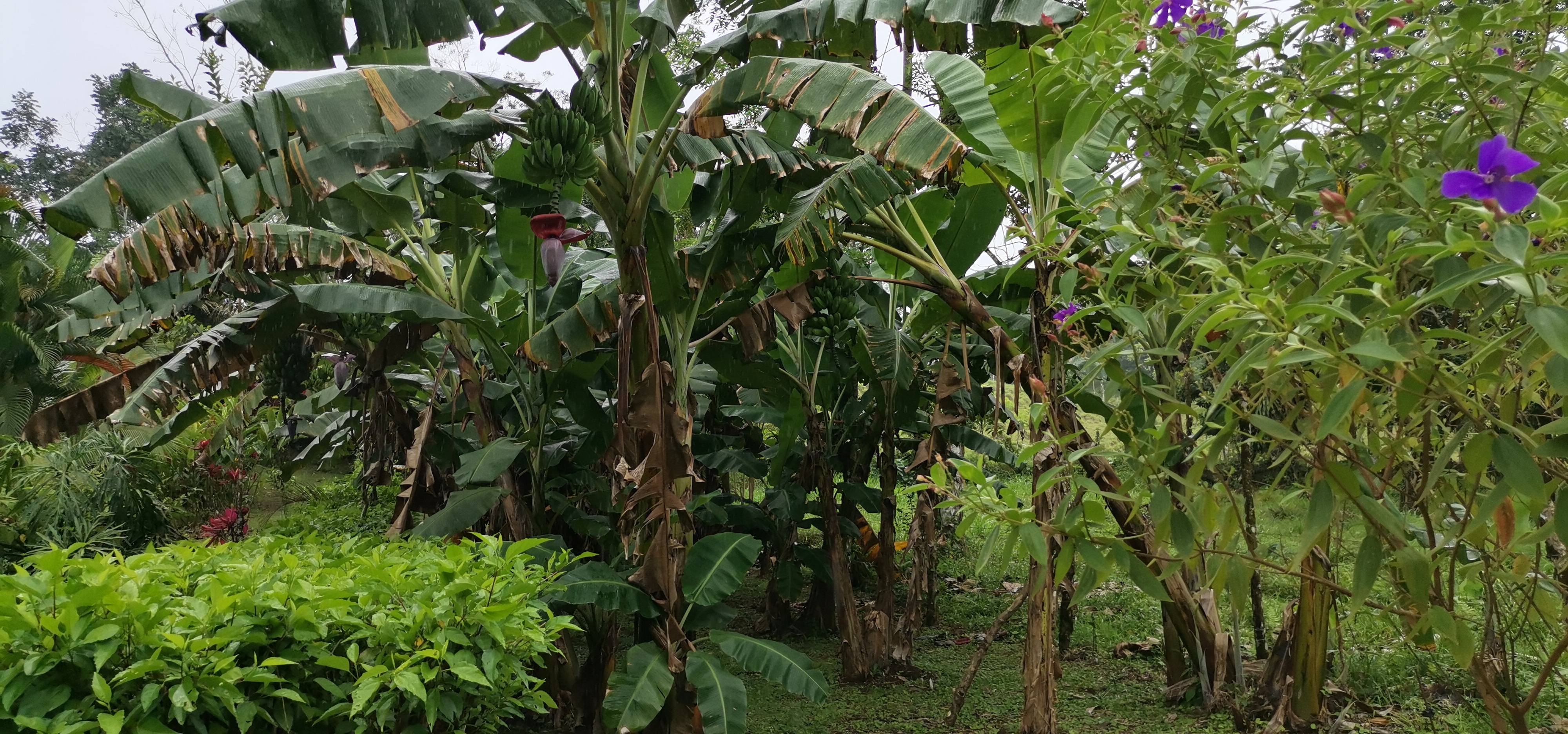 Fully Furnished 2 Bedroom 2 Bathroom Home On Cote River  photo 25