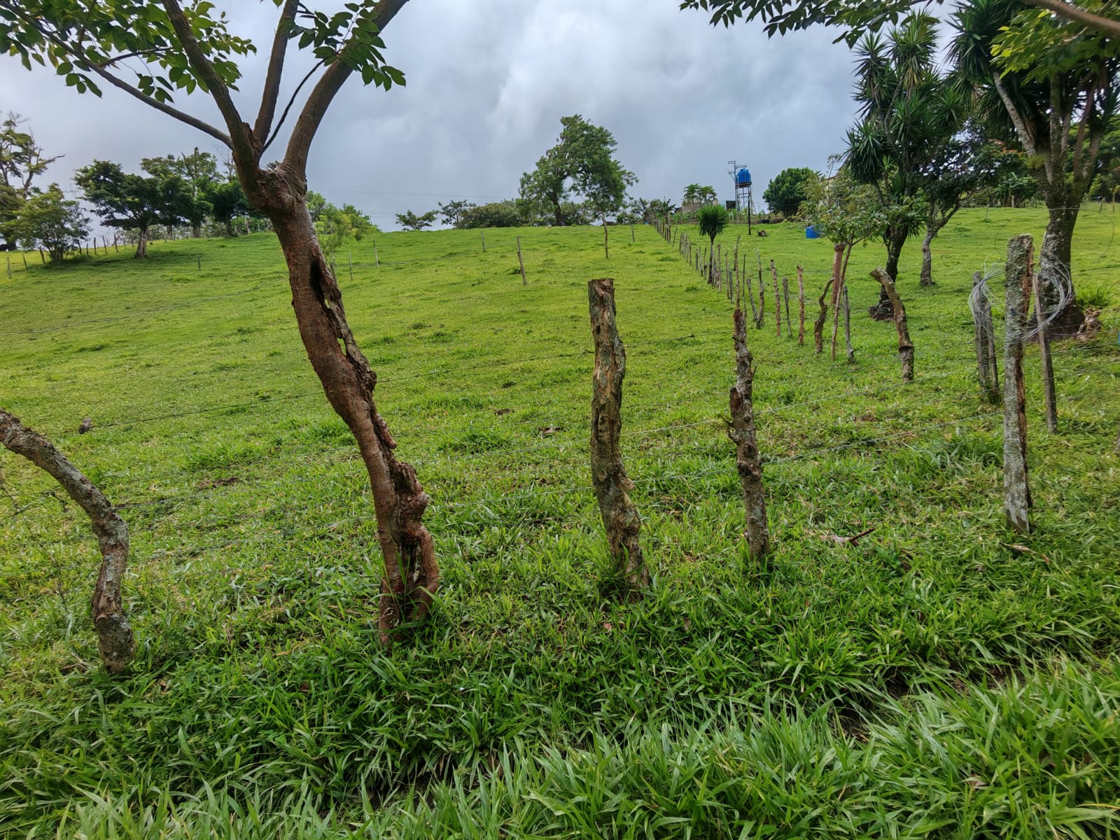 Beautiful 3-bedroom, 2-bathroom Home on a Sprawling 26,313 m² (6.5 Acres) lot  photo 24