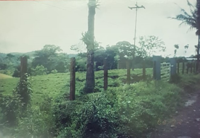 Incredible 9 Hectare Farm w/ Water Galore, Rivers, Springs & Creeks photo 8