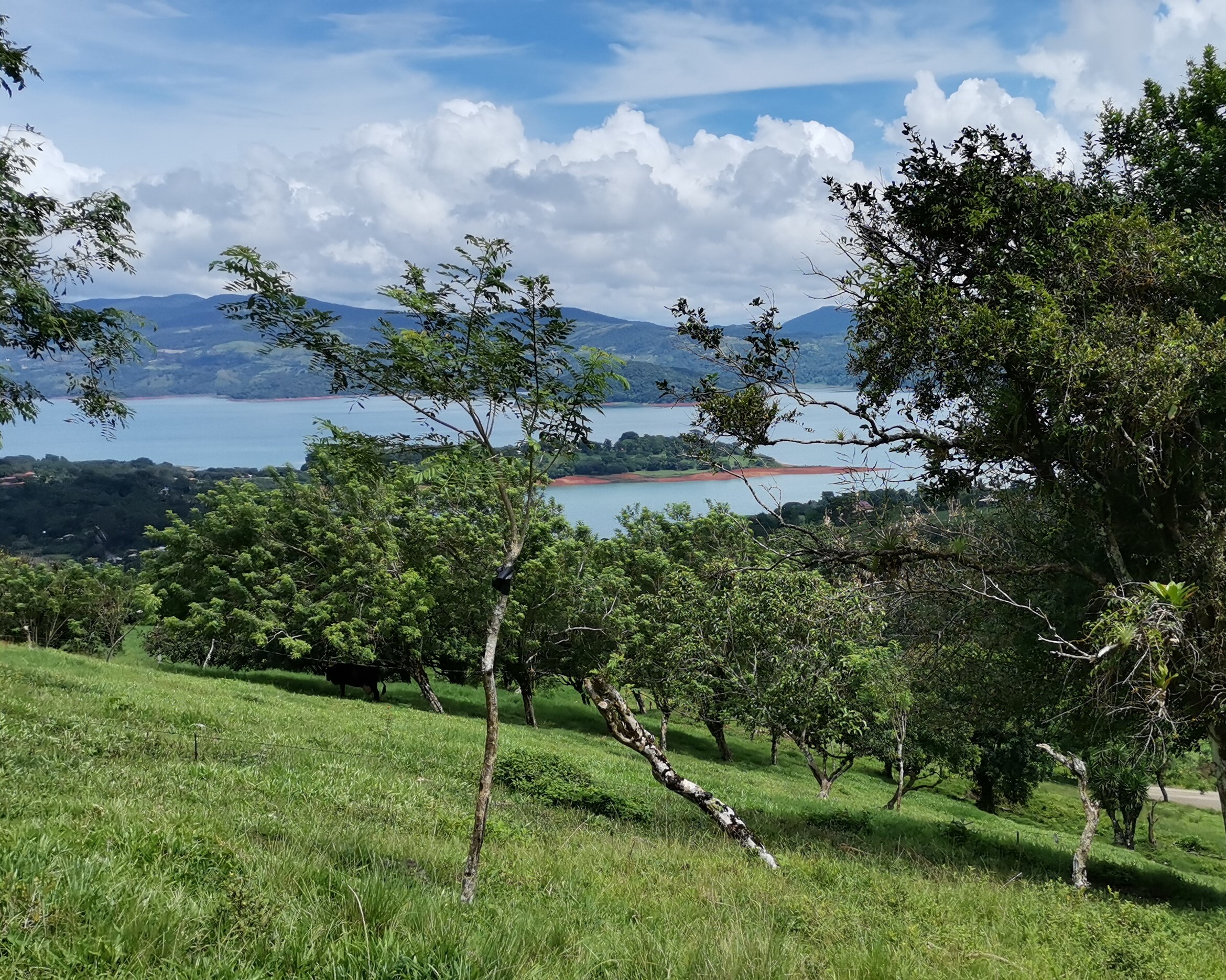 Magnificent 24,811m2 Lake and Volcano View Parcel with Huge Views in Tronadora photo 11