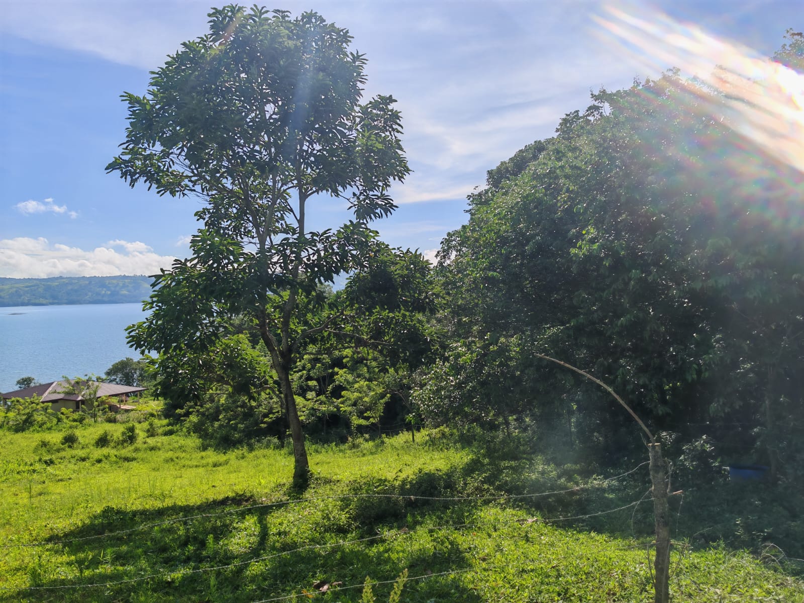 Beautiful 5,058 m² (1.25-Acre) Lot w/ Lake & Volcano View In Tronadora photo 10