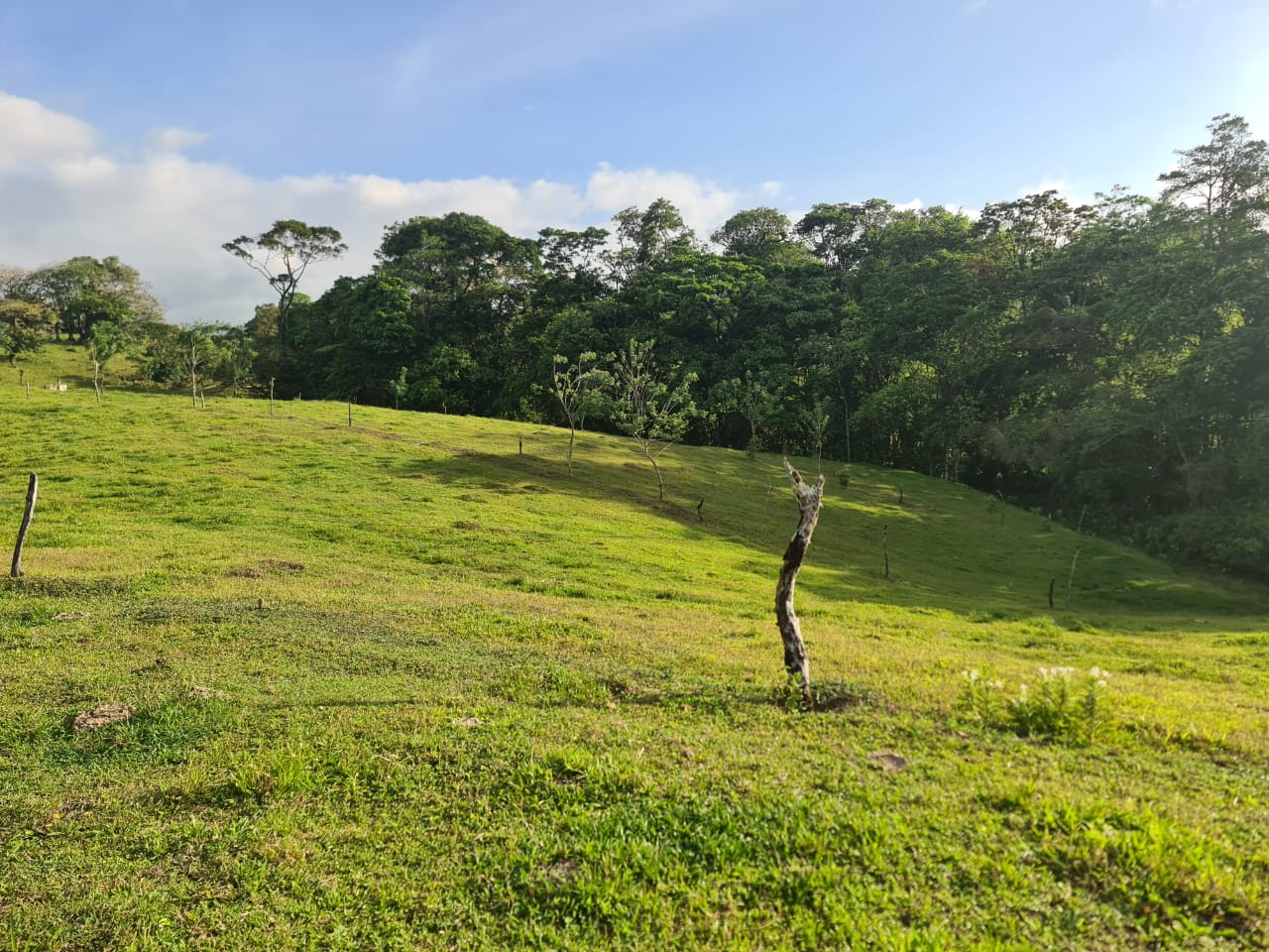 16-Hectare Farm with a Private Well and Views of Lake Arenal in Nuevo Arenal photo 18