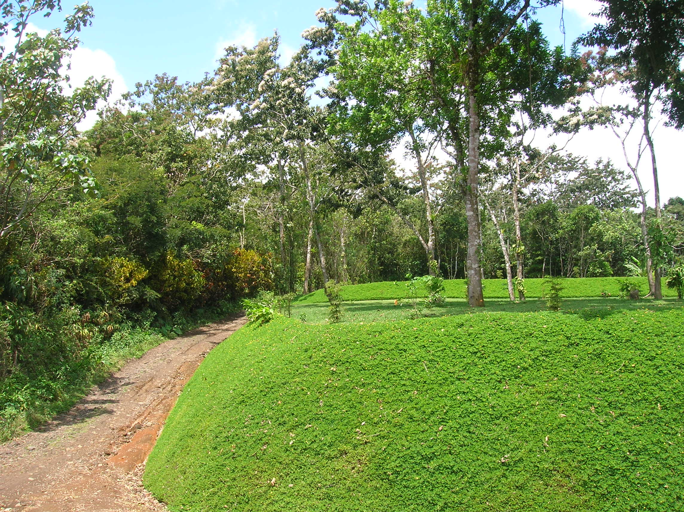 Prime Acreage directly on the Lake and Main Road In Nuevo Arenal photo 9