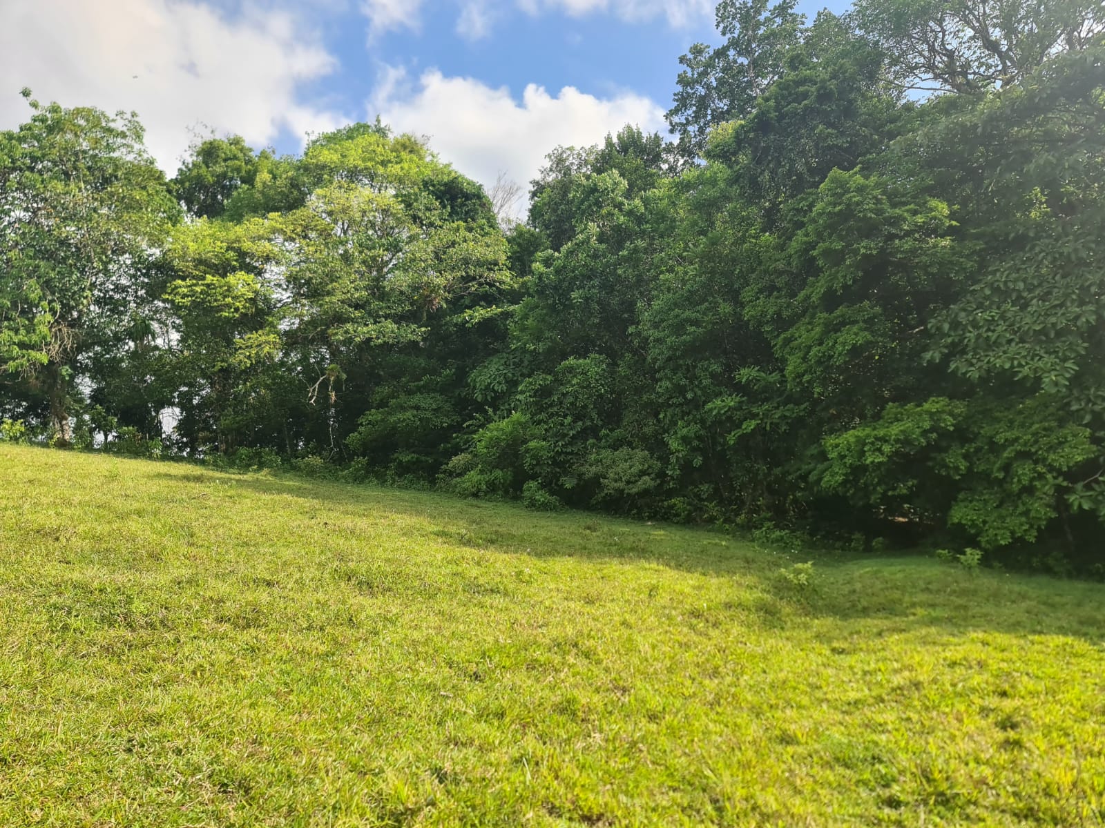 Gorgeous 50,372 m2 (12,4 acre) Farm In Cabanga, Guatuso photo 18