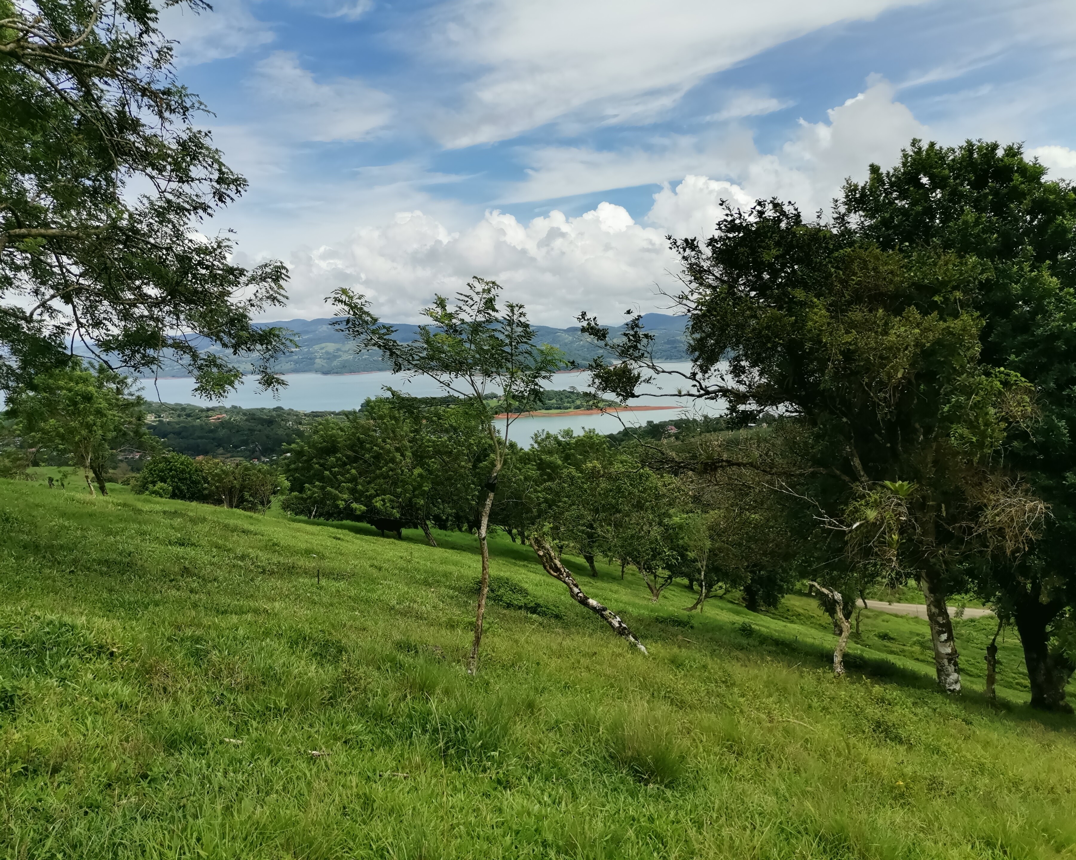 Magnificent 24,811m2 Lake and Volcano View Parcel with Huge Views in Tronadora photo 7