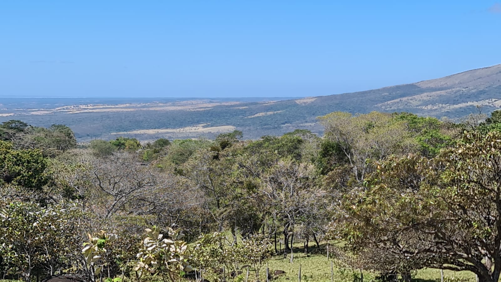 10,000 M2 (2.47 Acre) Lot with Volcano View in Nueva Guatemala photo 13