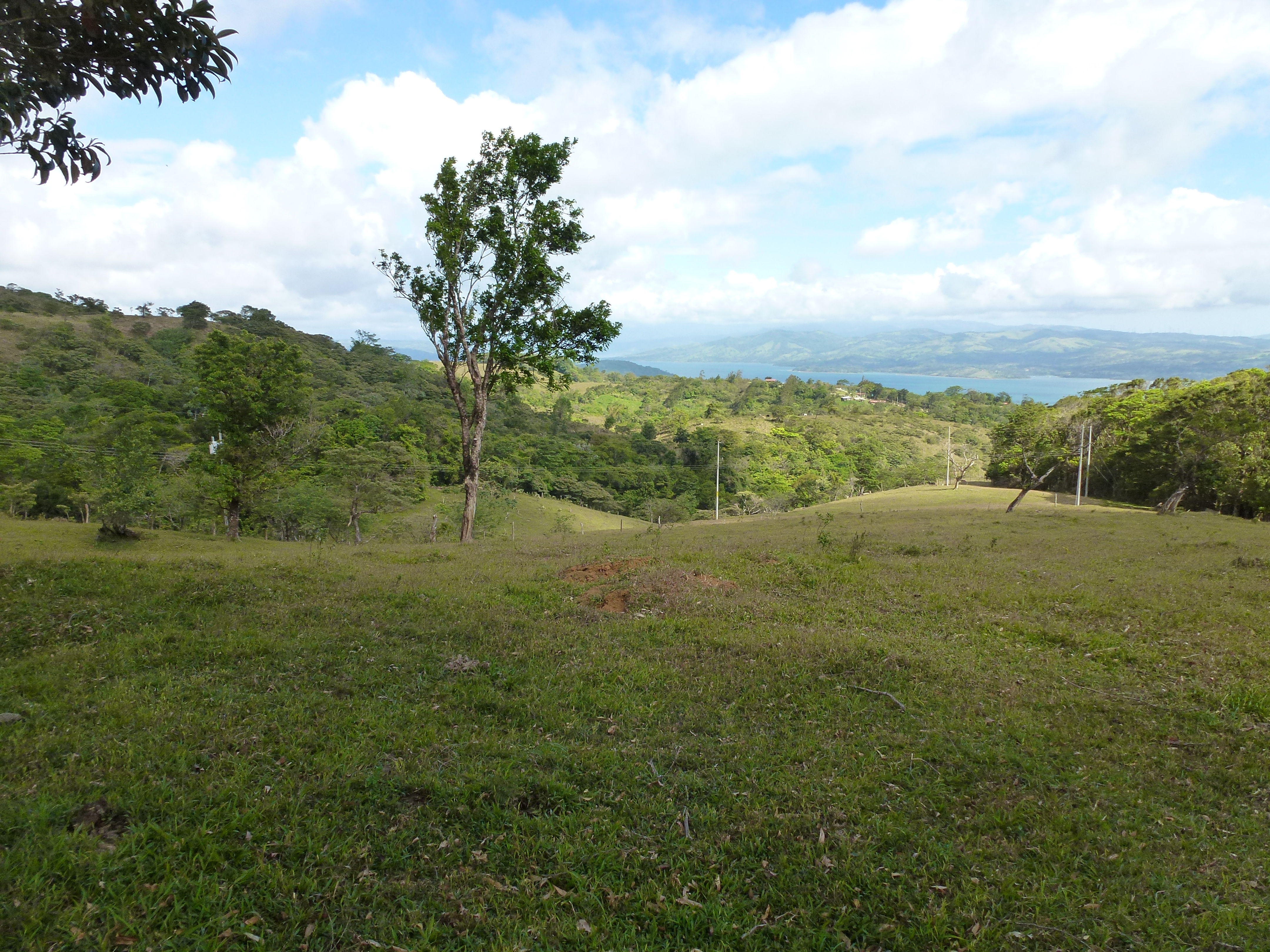 2.26 Acre Lot with Stunning Views Of Lake Arenal and Volcano in Nuevo Arenal  photo 11