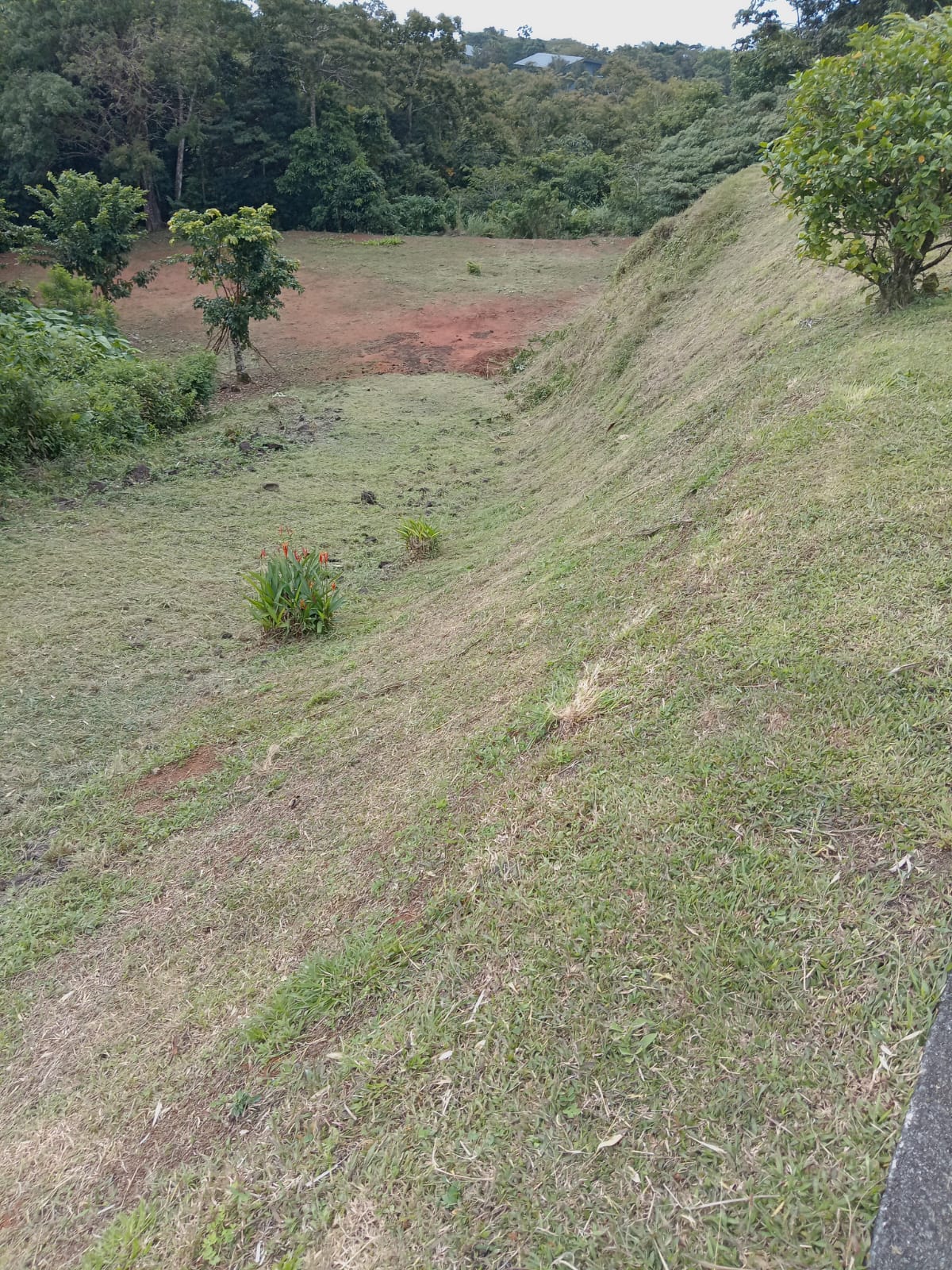 21.8 Hectare Development On Lake Cote, Guatuso, Alajuela photo 6