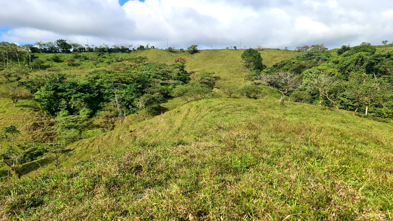 Amazing Opportunity, 2 Hectare, Lake View Parcel in Nuevo Arenal photo 9