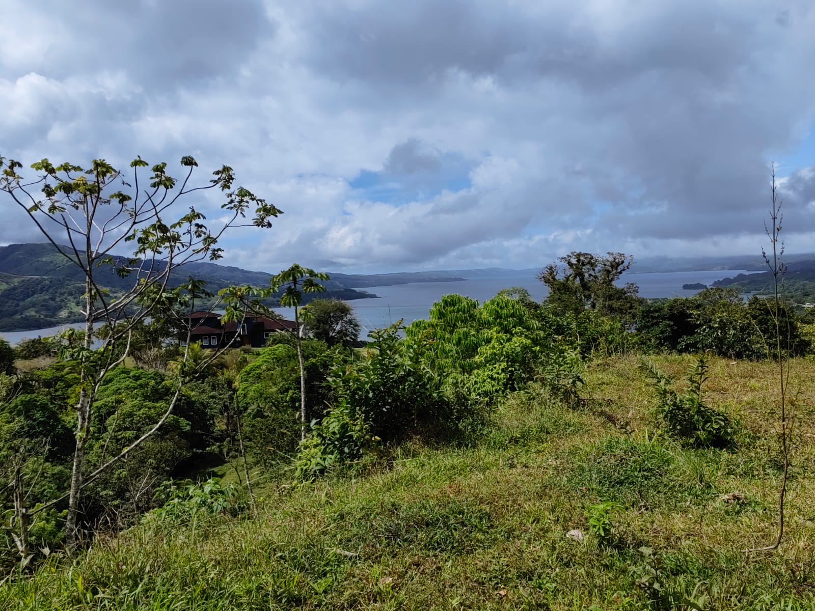 33,691 m² property with Amazing Views and Private Waterfall in La Union  photo 11