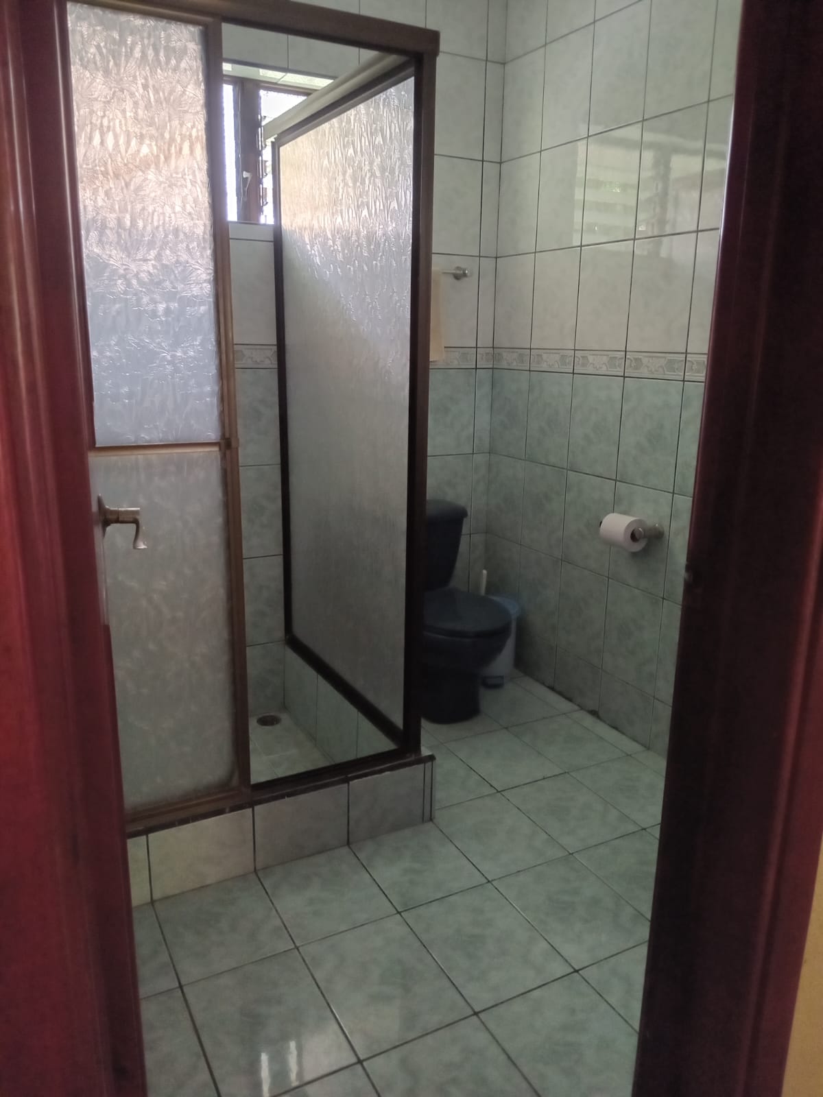 Commercial property: main house + 5 cabins + greenhouse + stable in Cinco Esquinas  photo 24