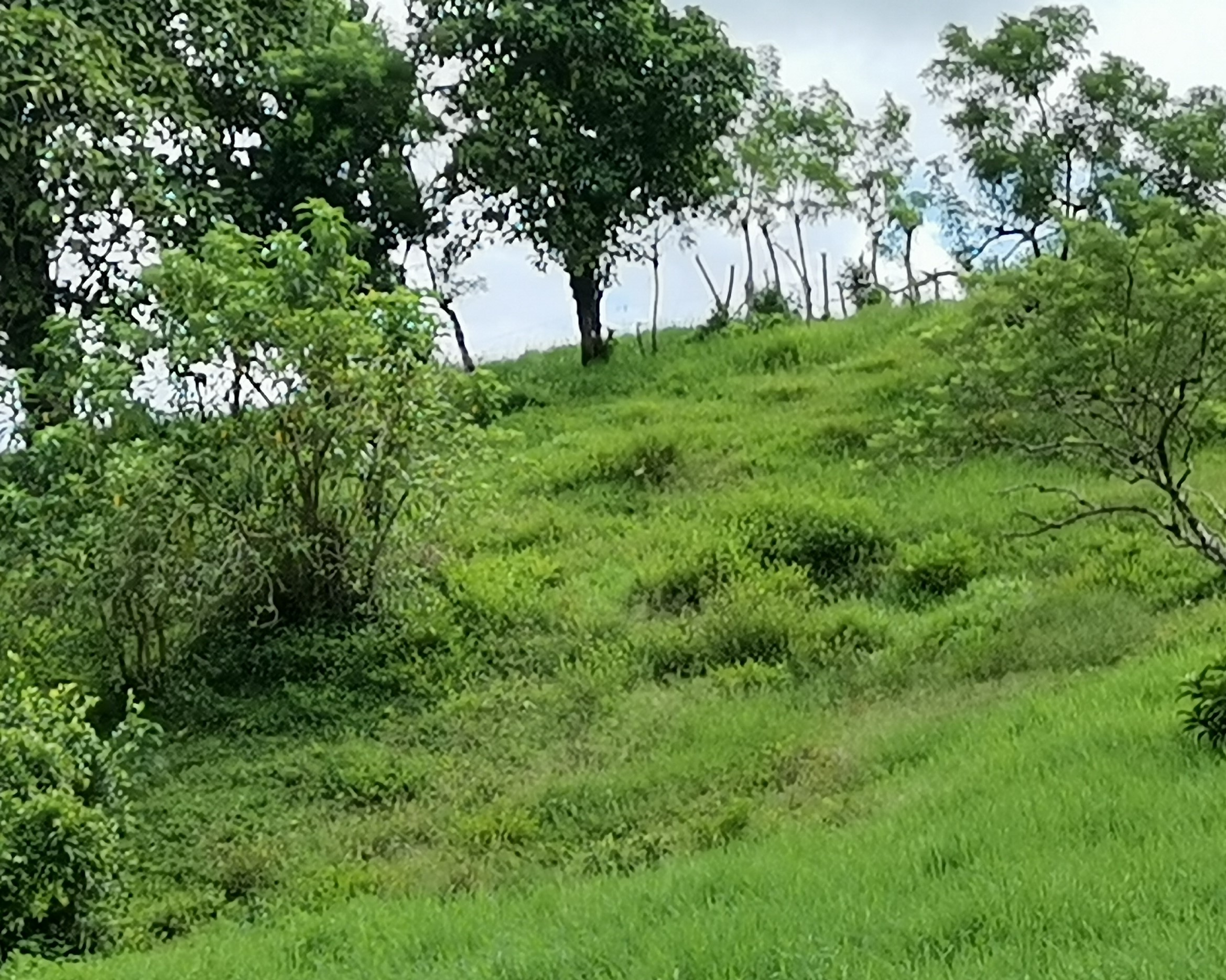 Magnificent 24,811m2 Lake and Volcano View Parcel with Huge Views in Tronadora photo 31