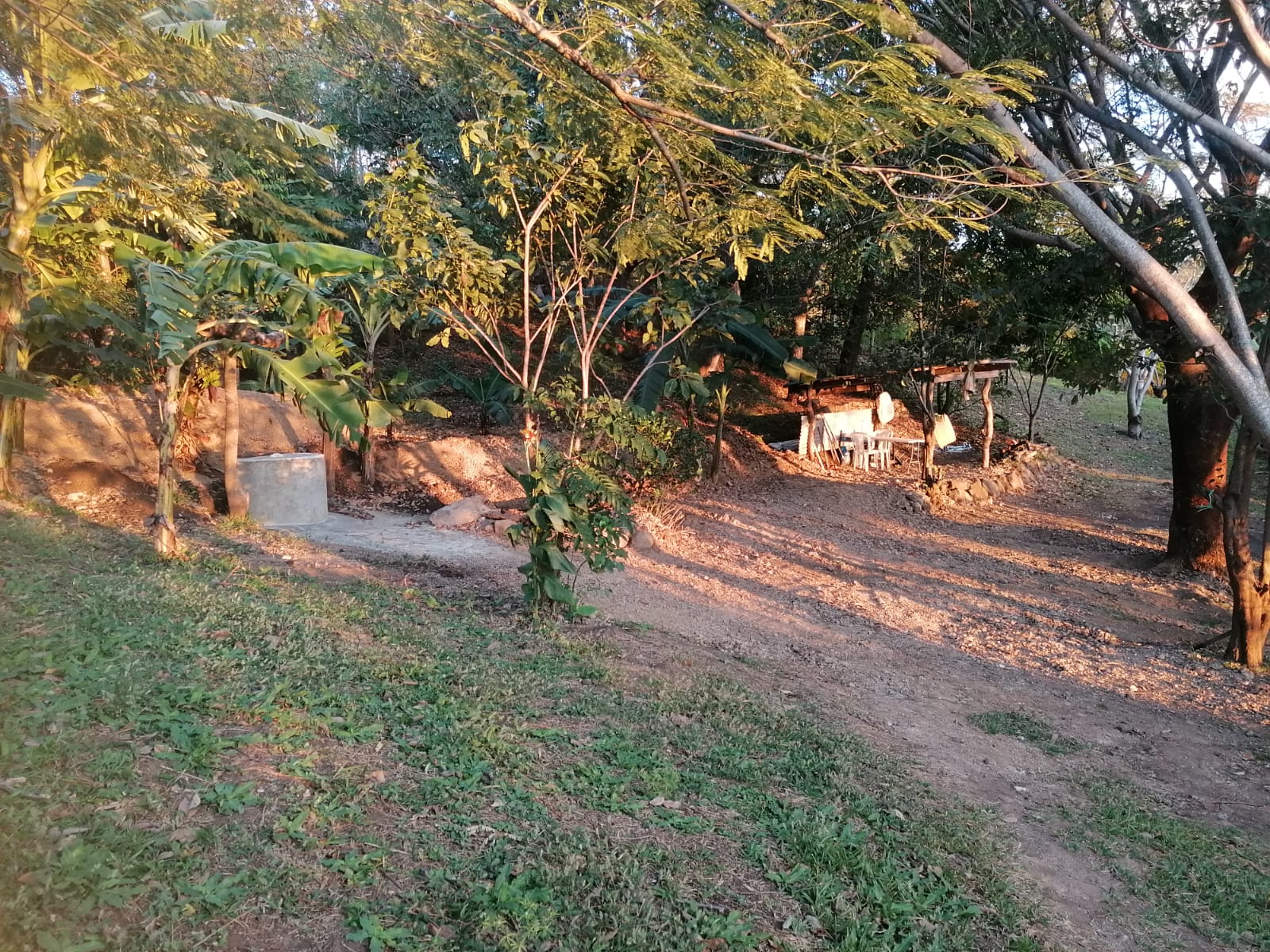 Nature Lover: 5,121 m2 Lot with Mountain Views and Lush Fruit Orchard photo 17