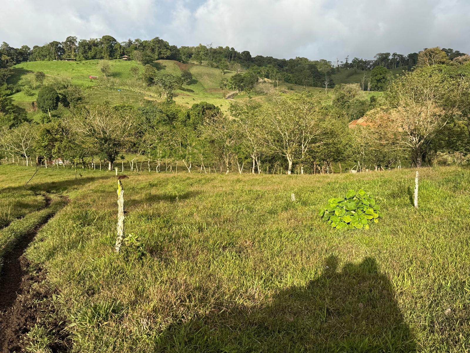 Expansive Self-Sufficient Farm Overlooking Lake Arenal in Nuevo Arenal photo 11