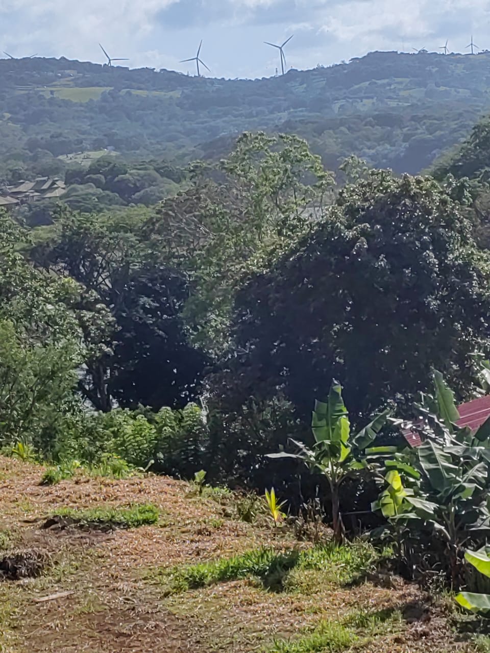 Lovely1,903 m3 (0.47 Acre) Near Lake Arenal in  Tronadora photo 12