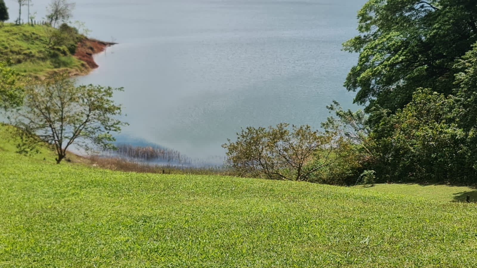 Spectacular Studio Apt + 2500 m2 Lot+ Lake Access Property in Nuevo Arenal photo 16