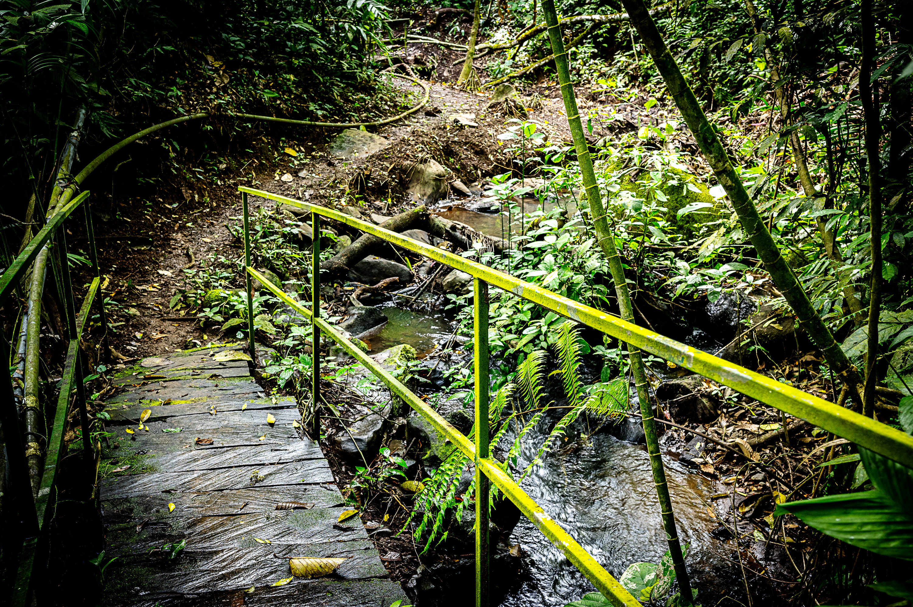 Spacious Arenal View Home with Cabins, Pavilion & Nature Trails  photo 57