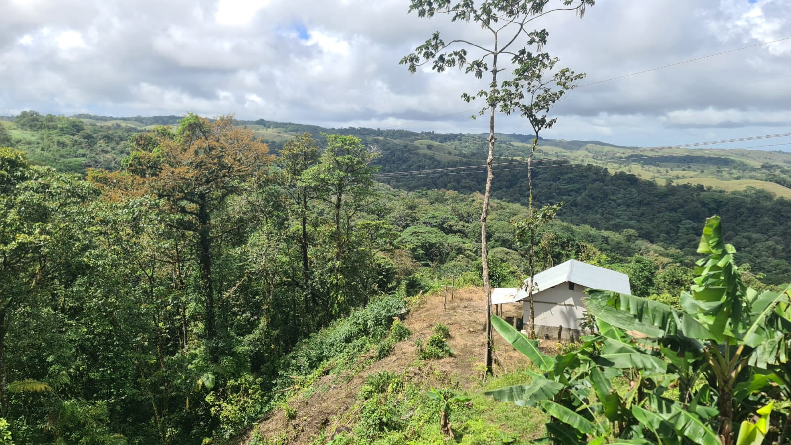 33 Hectare (81.5 acre) Property with Volcano Views in San Carlos, Alajuela photo 7