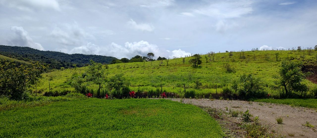 A brand-new luxury 2 BD/2 BA lake, volcano, & mountain view home  photo 48