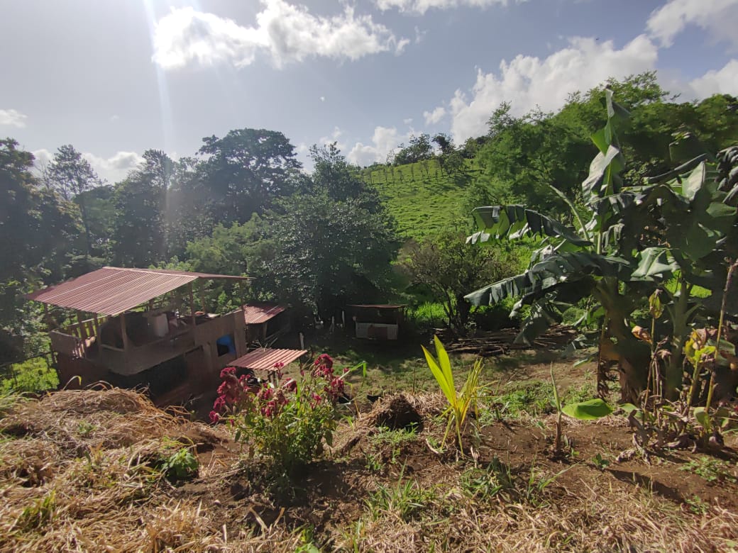 Lovely1,903 m3 (0.47 Acre) Near Lake Arenal in  Tronadora photo 7