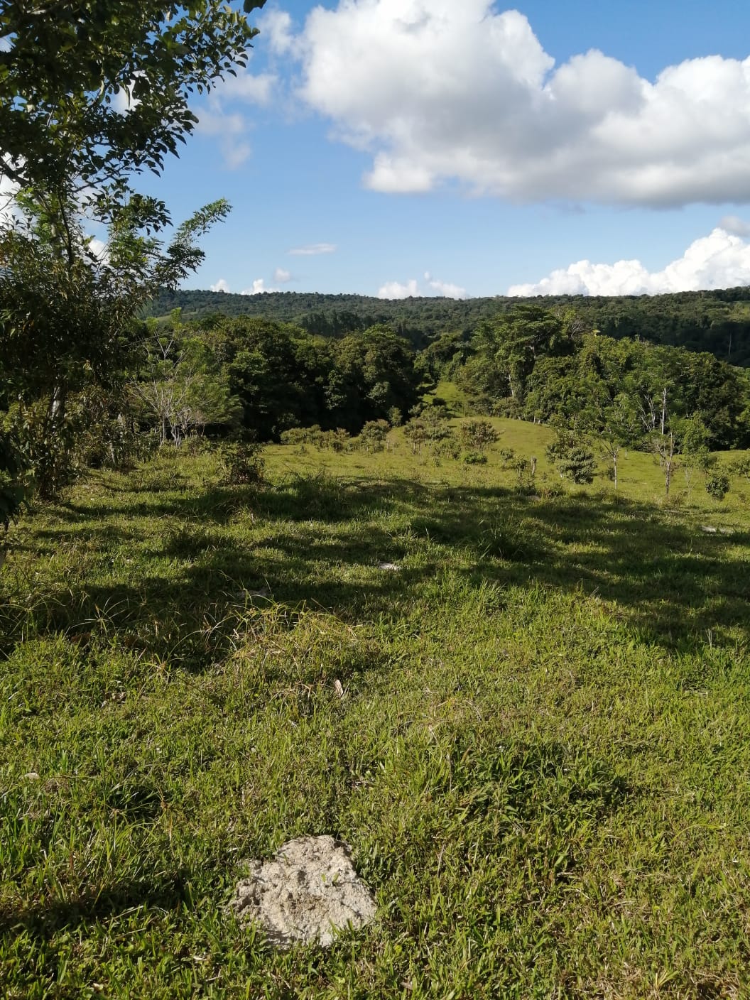 16-Hectare Farm with a Private Well and Views of Lake Arenal in Nuevo Arenal photo 37