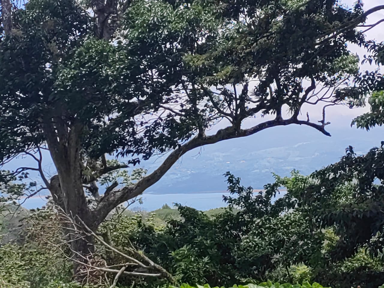 Beautiful, 1359 m2, Lake Arenal View Lot in San Luis, Tilarán photo 9