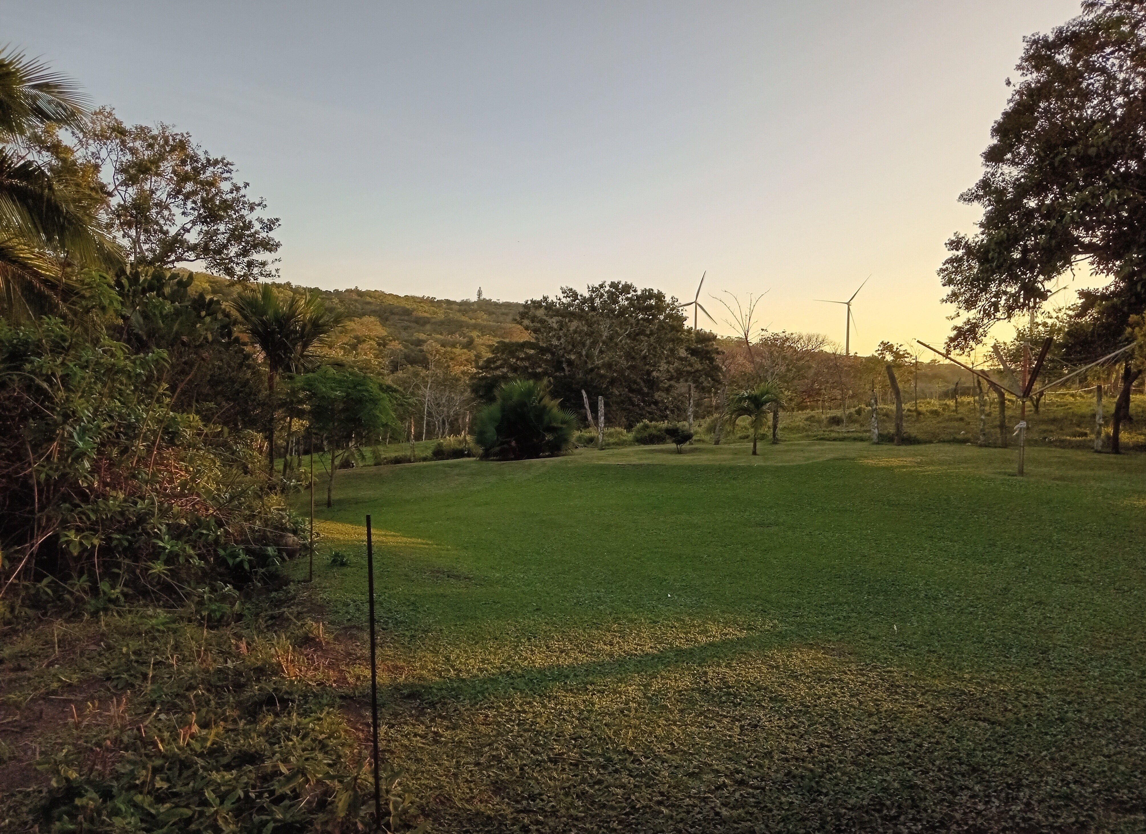 Commercial property: main house + 5 cabins + greenhouse + stable in Cinco Esquinas  photo 72