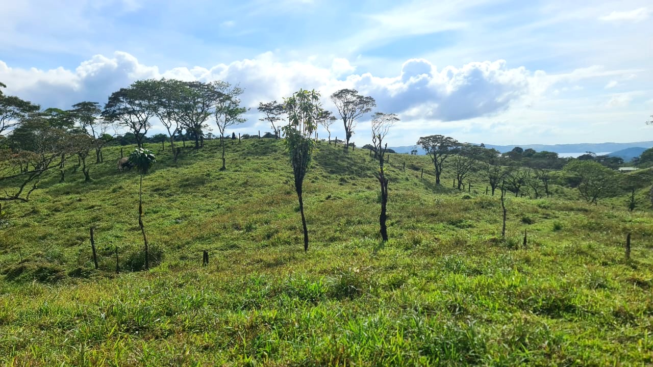 Amazing Opportunity, 2 Hectare, Lake View Parcel in Nuevo Arenal photo 7