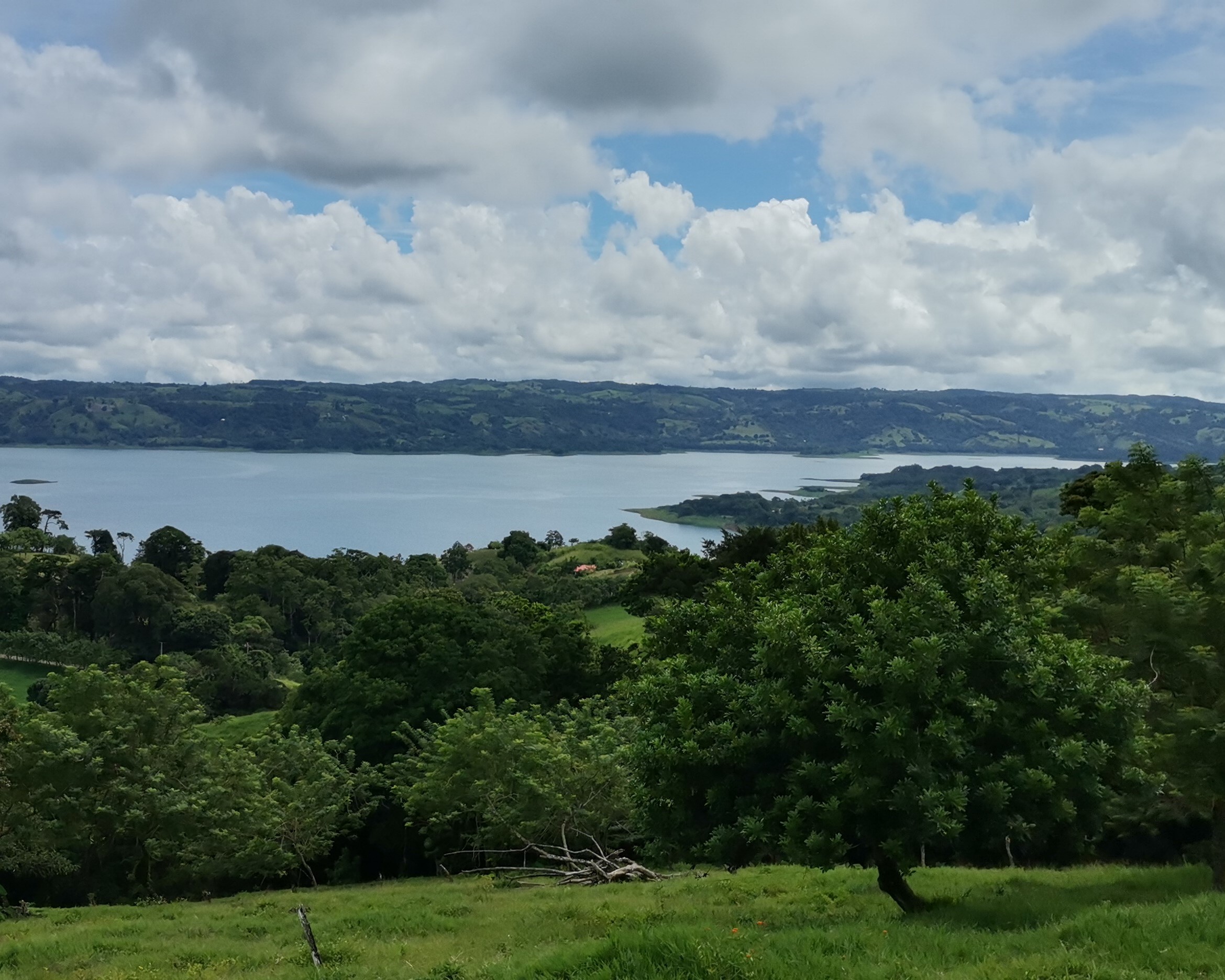 Magnificent 24,811m2 Lake and Volcano View Parcel with Huge Views in Tronadora photo 13