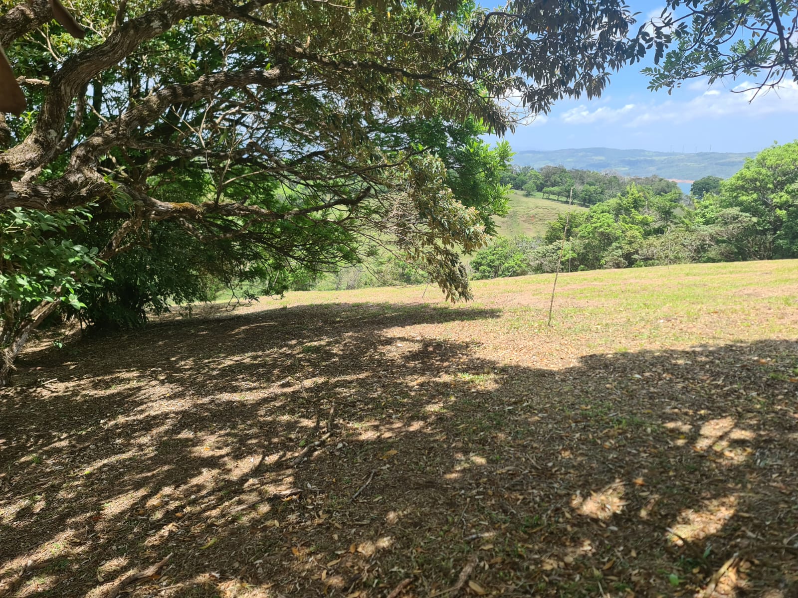 2236 M2 (0,55 acres) Lot with Huge Volcano Views in El Aguacate photo 14