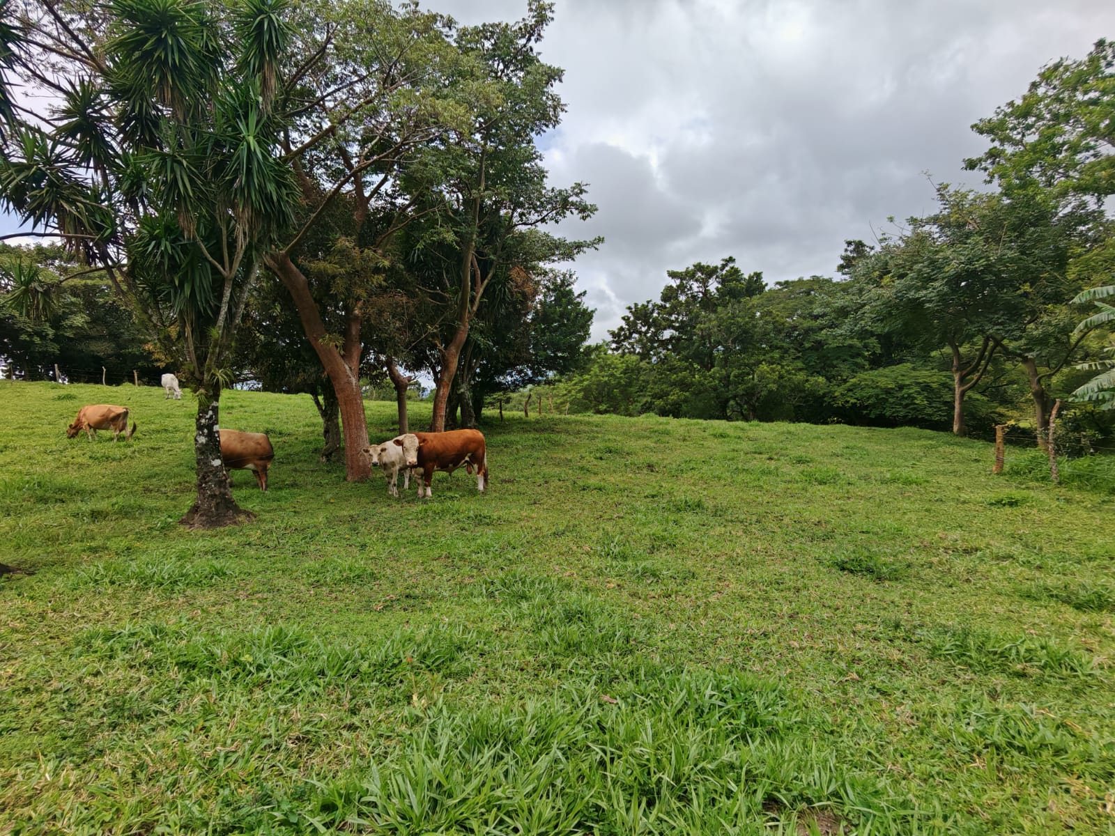 Beautiful 3-bedroom, 2-bathroom Home on a Sprawling 26,313 m² (6.5 Acres) lot  photo 29