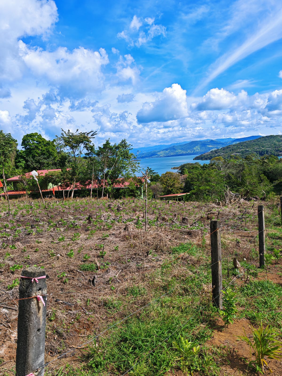 Prime 1,000 m² Lot with Stunning Lake & Mountain Views In Arenal  photo 6