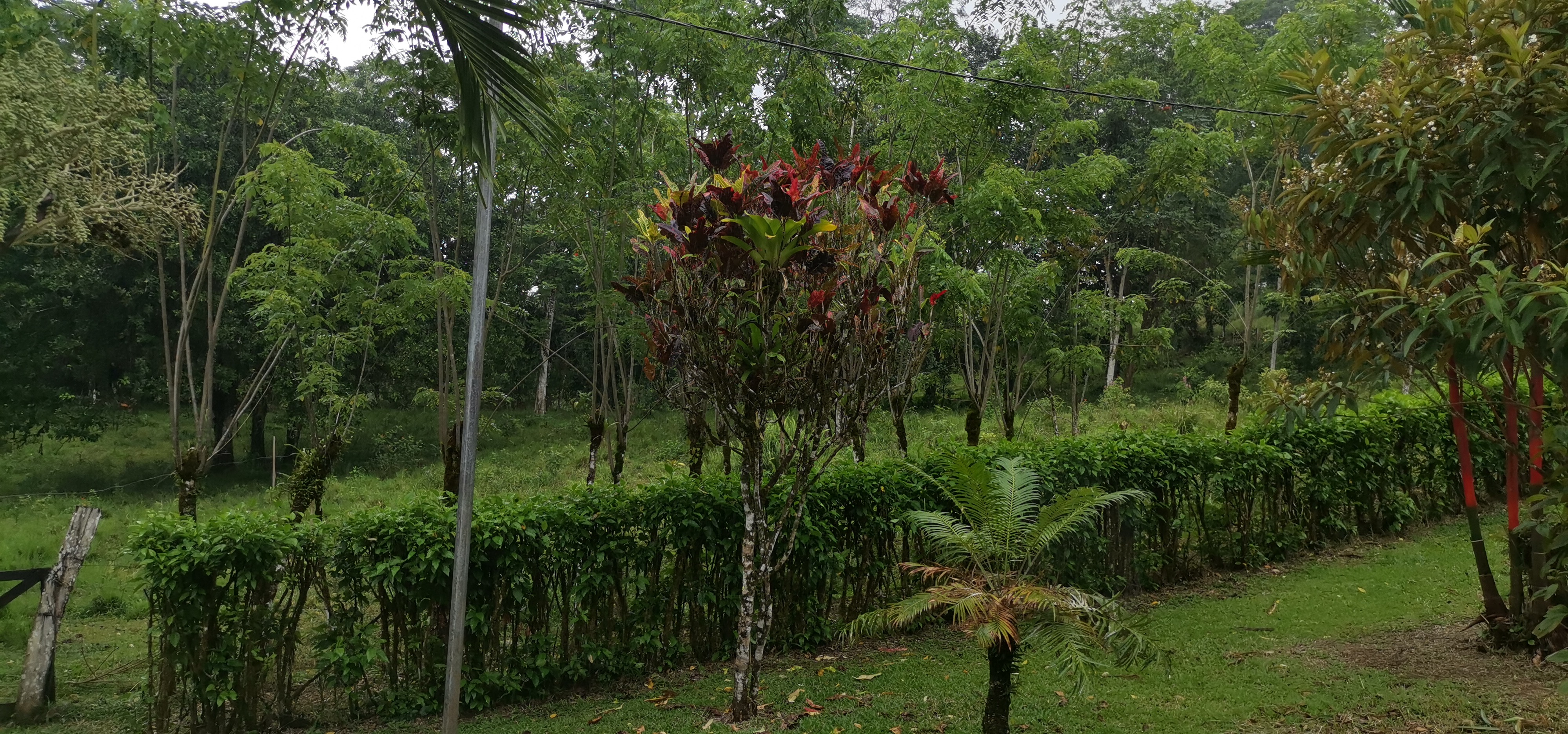 Fully Furnished 2 Bedroom 2 Bathroom Home On Cote River  photo 22