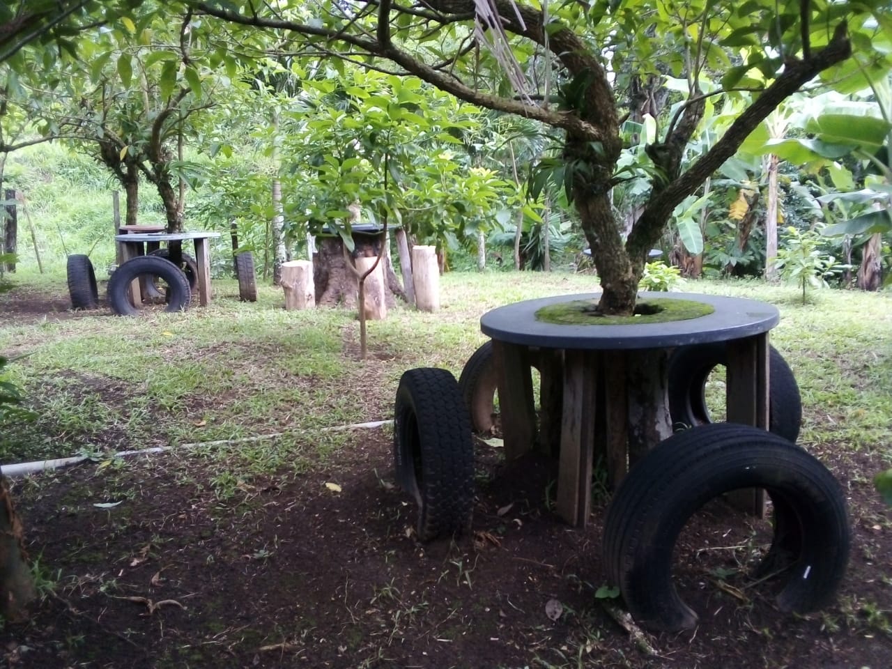 Lot of 15.320 m2 (3.78 Acre) with a private well in Parcelas de Quebrada Azul  photo 10