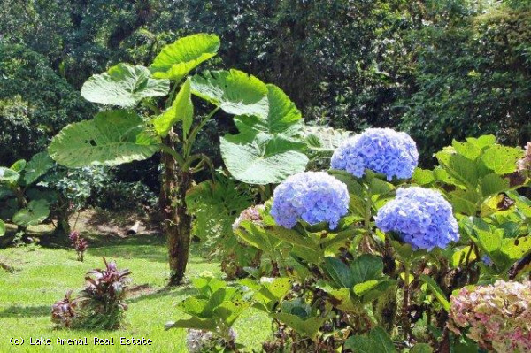 Modern Bali-Style Home, 8 BD, 5 BA 3,70 Acre In Nuevo Arenal photo 33