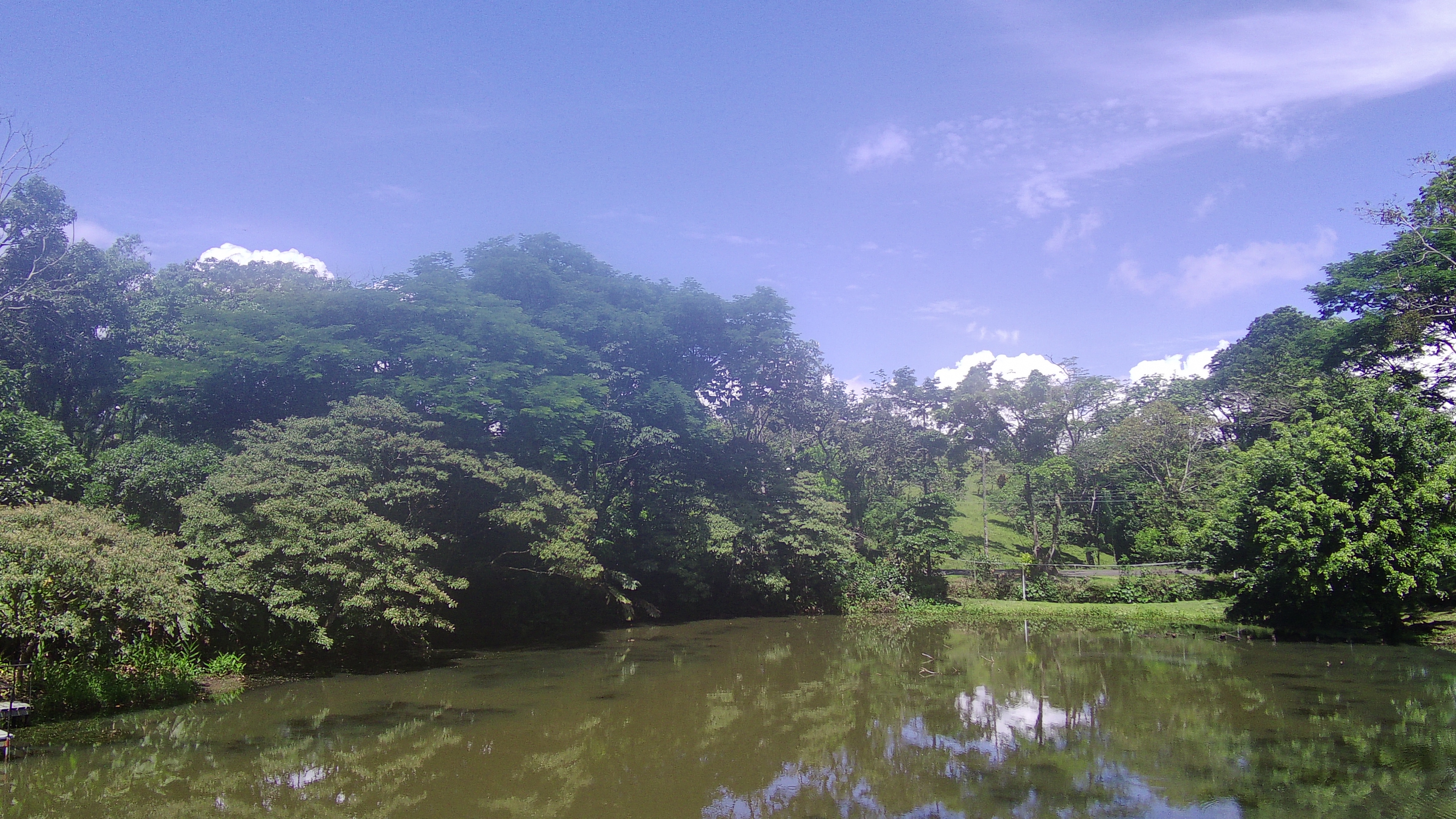 Beautiful Home 2BD 1BA in a 19424.9 m2 (4.8 Acre) Lot w/ Private Spring  photo 26