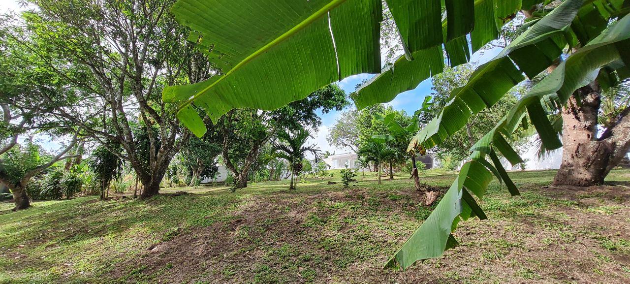 Lakeview Home 4BD 2BAw/ Lake Access, Development Potential & BMW  photo 15