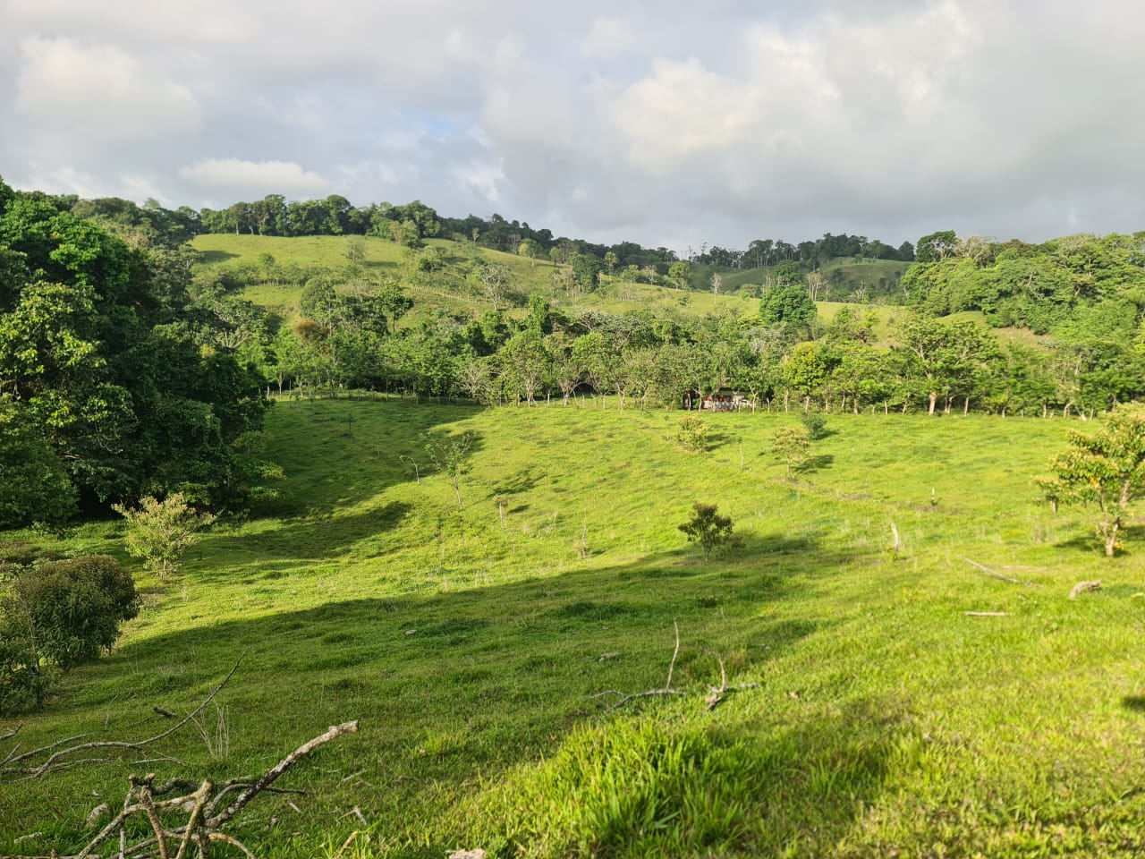 16-Hectare Farm with a Private Well and Views of Lake Arenal in Nuevo Arenal photo 17