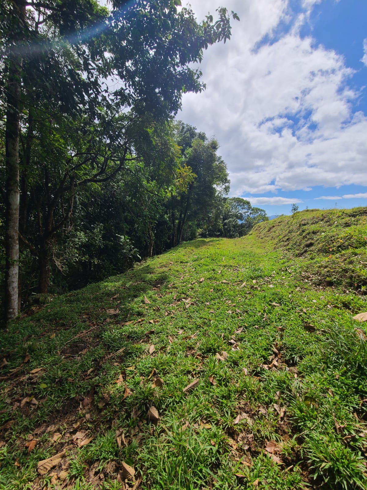 35,000 Sqm Property with Spectacular Lake Arenal View and Ravine photo 8