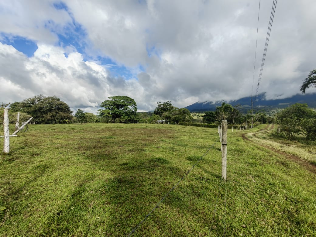 Beautiful Flat 5,624 m2 Lot With Views in Rio Naranjo, Guanacaste  photo 6