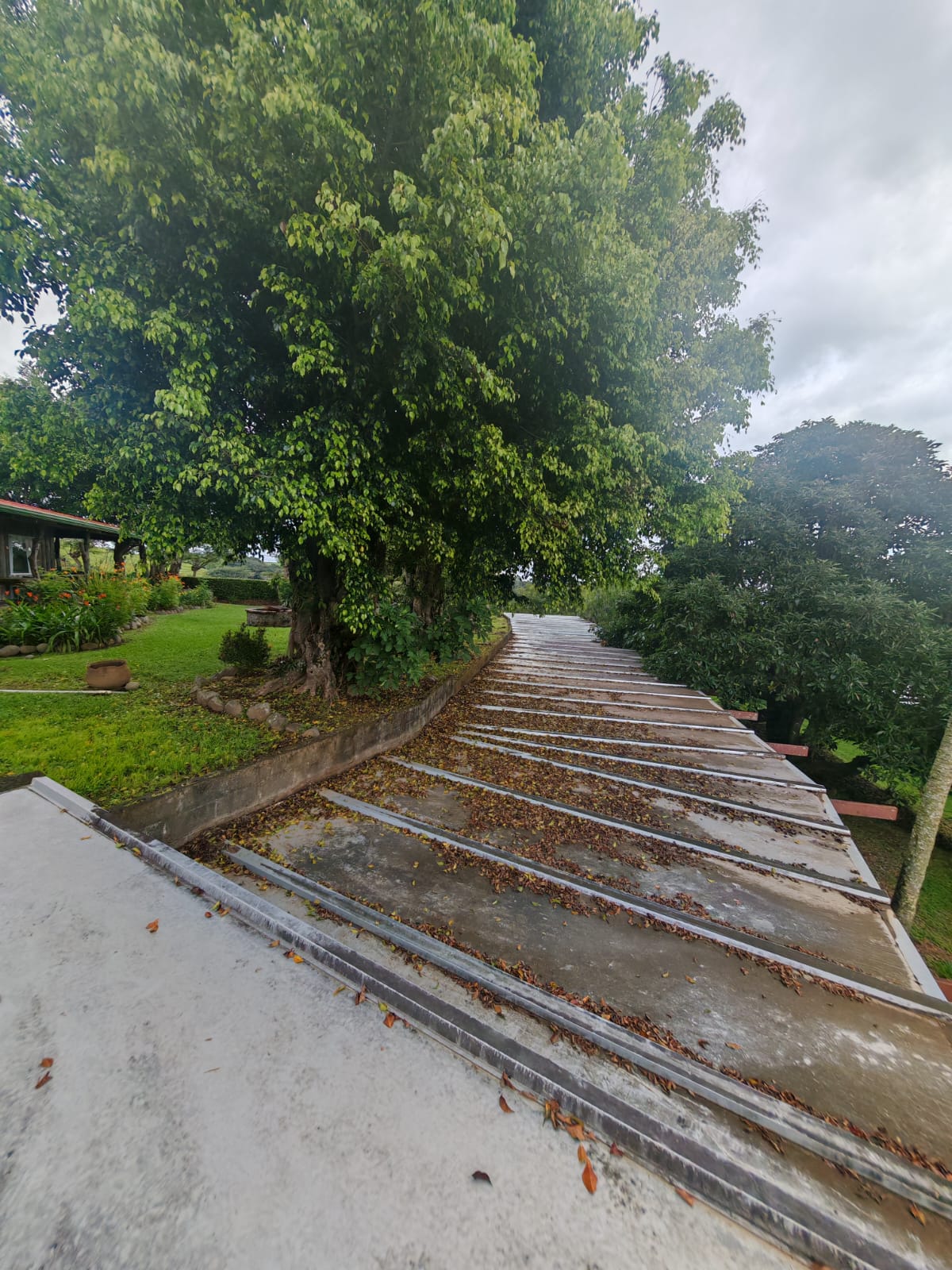 Hacienda Paraíso – Beautiful 107-hectare Property iw/ House in Solania photo 38