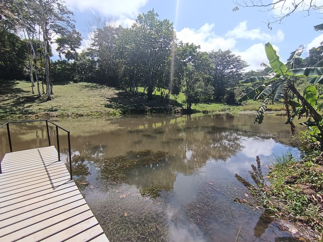 Beautiful Home 2BD 1BA in a 19424.9 m2 (4.8 Acre) Lot w/ Private Spring  photo 22