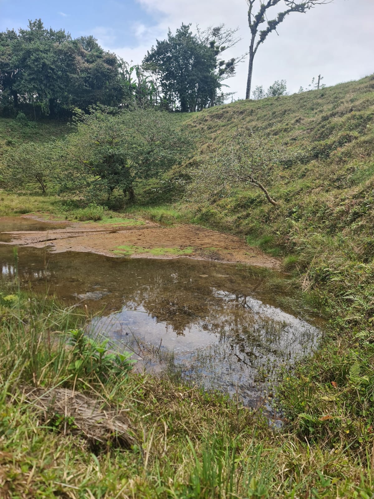 46,600 m2 (11,5 acres) Lot with Amazing Lake View in Nuevo Arenal photo 13