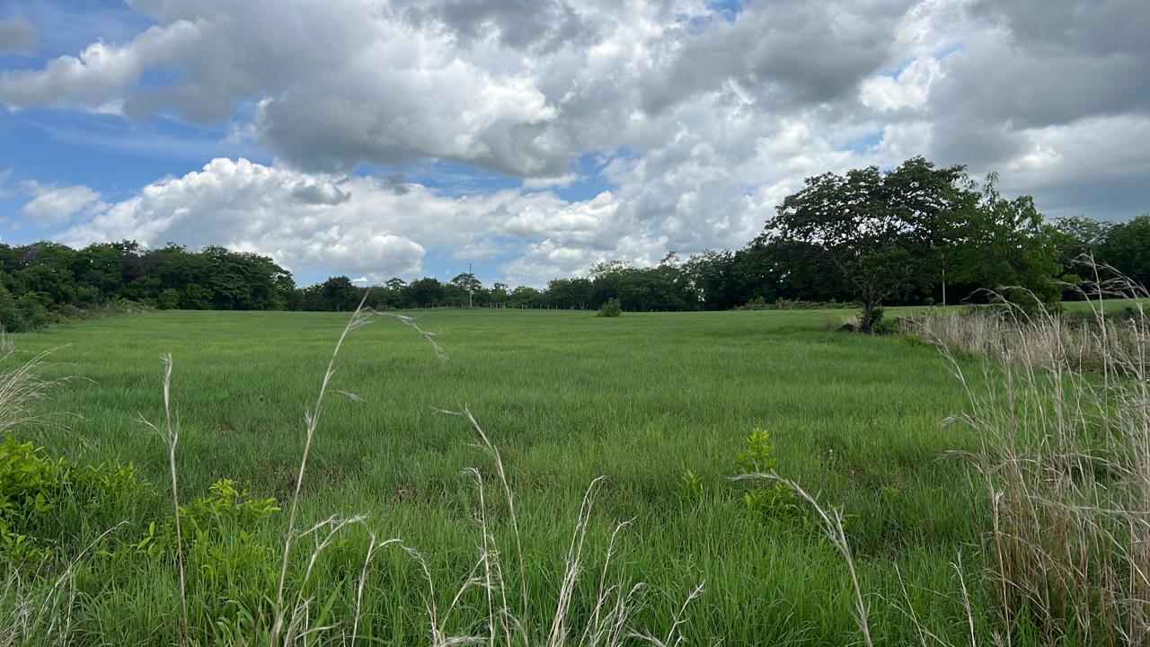 450-Hectare Estate w/ Nature Reserve, Three Homes & Rivers in Guanacaste photo 50